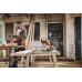 Motoferastrau STIHL MS162 C-BE